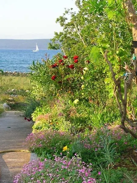 Apartment In Pasman With Seaview, Balcony, Air Condition, Wifi Хорватия